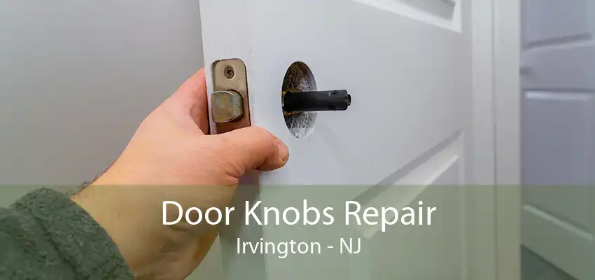 Door Knobs Repair Irvington - NJ